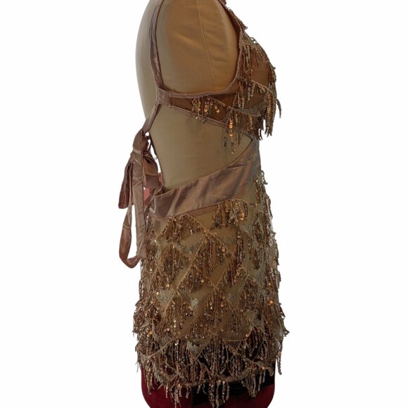 Dress L Sequin Tassel Fringe Sheer Mesh Champaign Louisa Mini Bella Barnett New - Picture 4 of 9